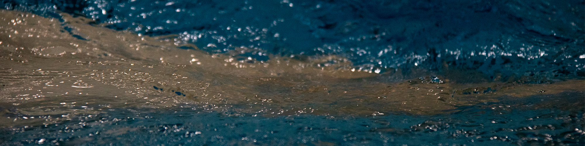 Work_Photography.jpg